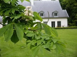 Malcot Hotell